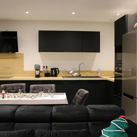 Flambant Neuf Proche De Colmar Appartement *