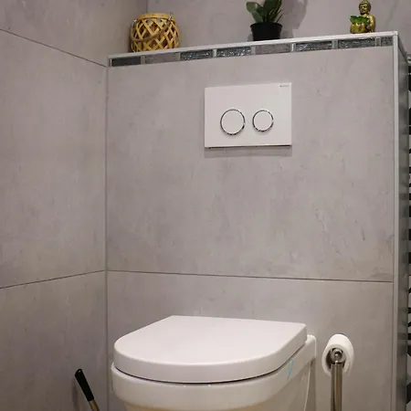 Flambant Neuf Proche De Colmar Appartement